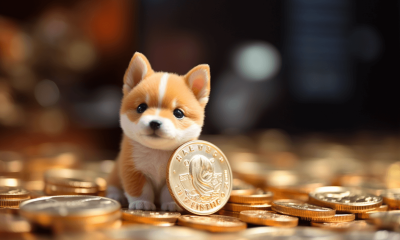 How to Stake Shiba Inu