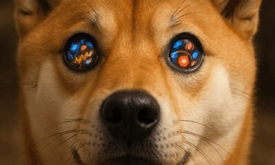 what are meme coins