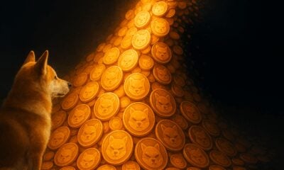 how many shiba inu coins are there
