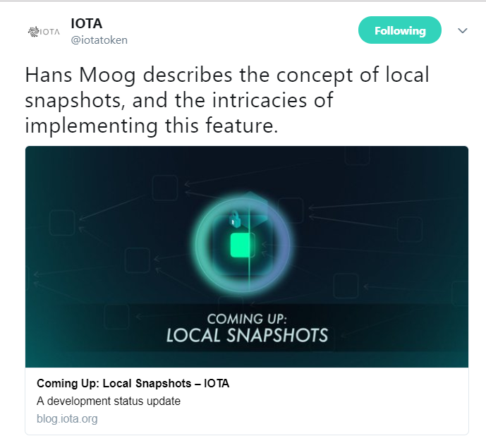 IOTA's Hans Moog discusses Local Snapshots | Source: Twitter