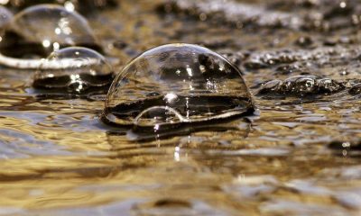 Bitcoin [BTC] bubble reaching the top inflation mode, believes a Bitcoin Cash [BCH] member