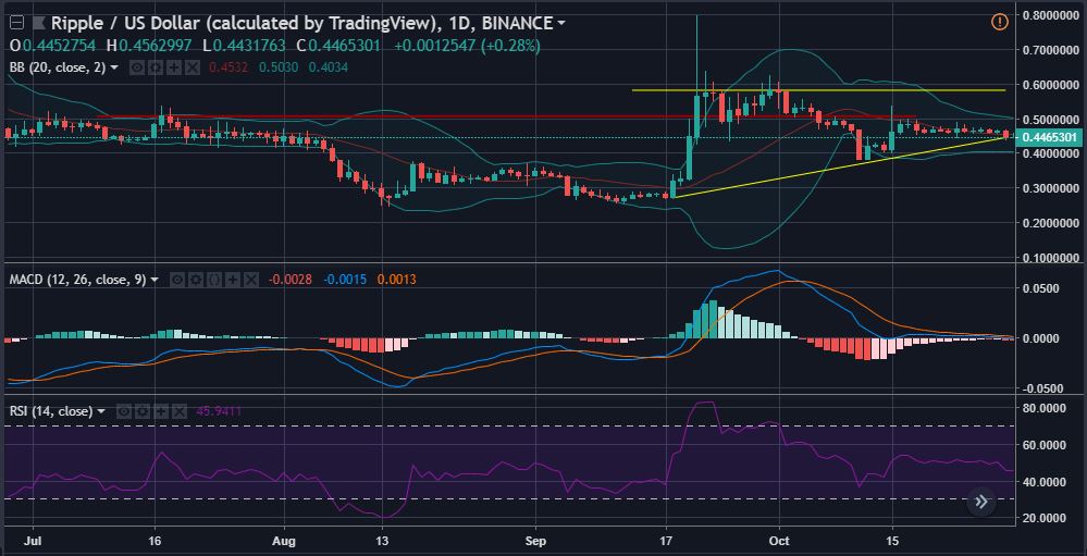 XRPUSD 1 day candlesticks | Source: tradingview