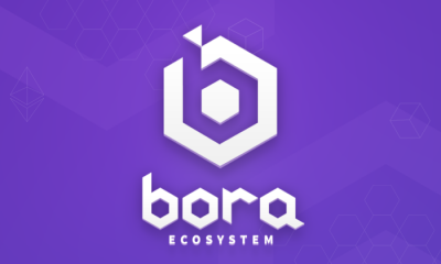 The brains behind BORA, the decentralized solution for the content and entertainment industry