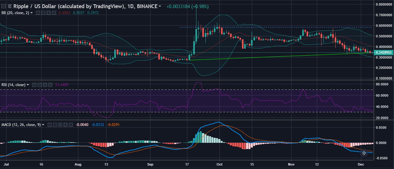 XRPUSD 1 day candlesticks | Source: tradingview