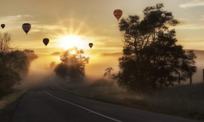 Bitcoin [BTC] cannot rise steadily over years as adoption advances, says Shapeshift CEO Erik Voorhees