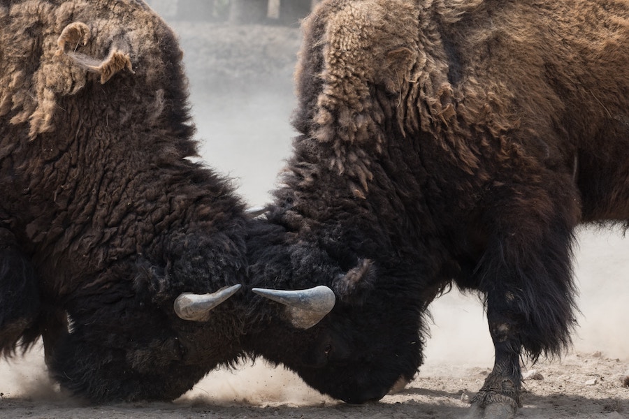 Bitcoin’s price remains bullish in short-term but bears have taken over long-term