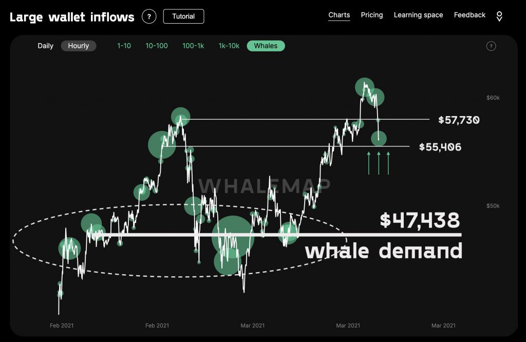 Why it's important to watch Bitcoin Whales, more often than you do