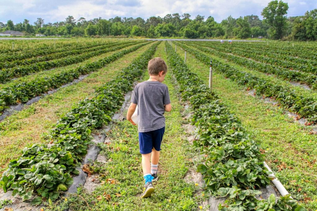 Are you missing out on earning through Yield Farming?