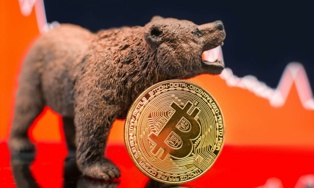 What Is The Status Of Bitcoin's Bull Market - AMBCrypto