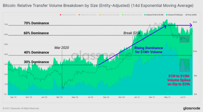 These 3 Key Metrics Indicate That The Current Bitcoin Rally Is Most ...