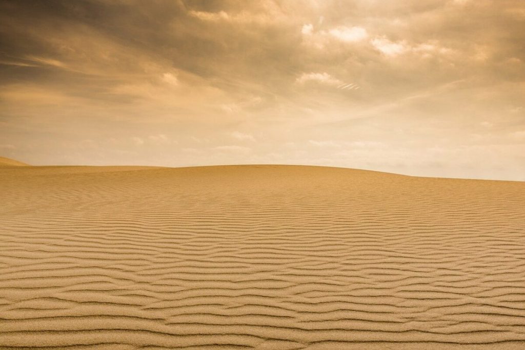 XRP Lawsuit: Ripple's request for SEC employee's crypto trading disclosures has been denied
