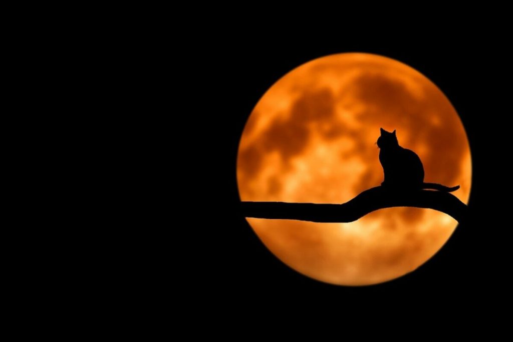 Terra's ecosystem update proposals are fueling LUNA's rise to new ATHs