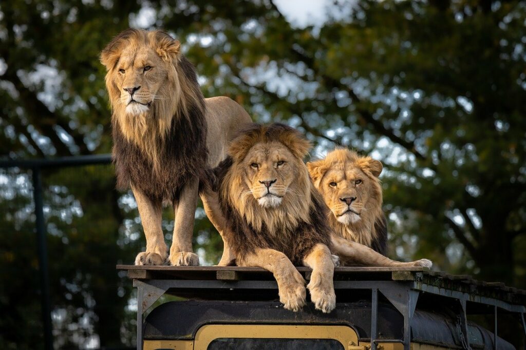 Africa: Experts believe a common cryptocurrency could boost trade in the continent