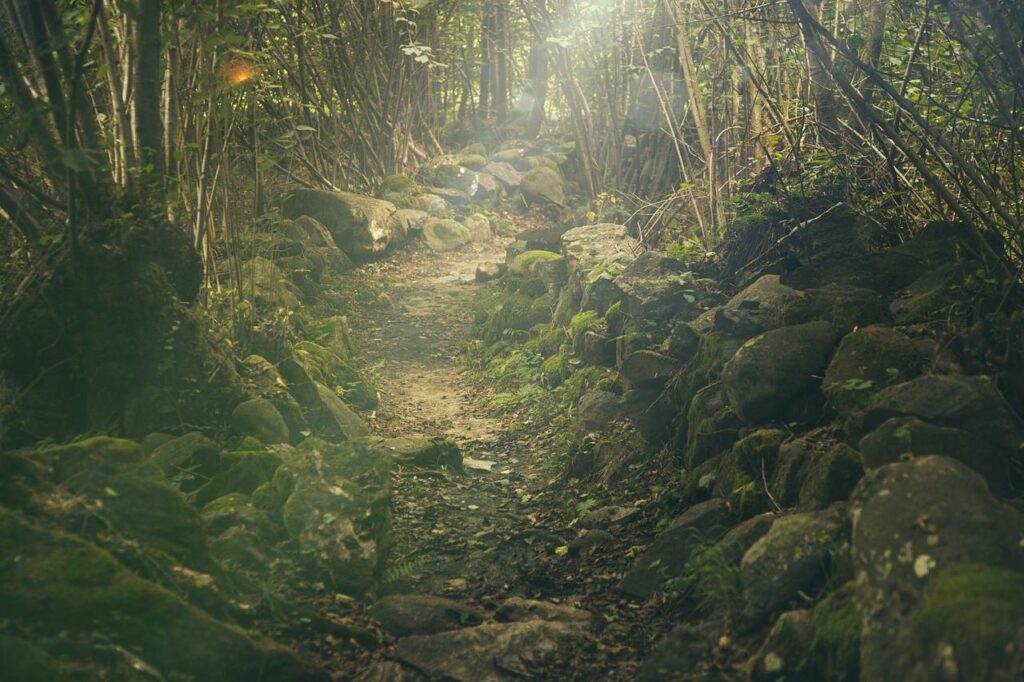 XRP set to drop beneath yet another support level as $0.25 beckons