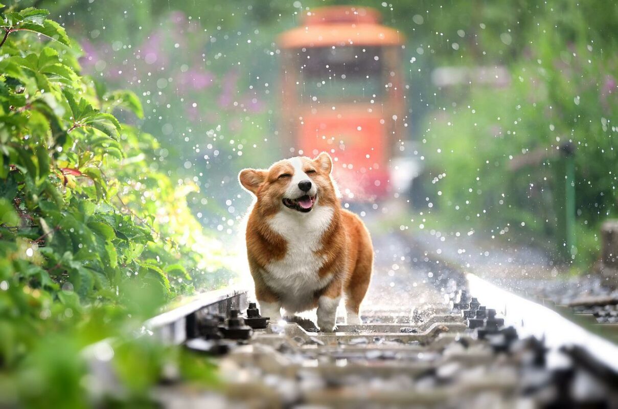 Two levels to watch out for Dogecoin as the sellers anticipate yet leg lower on the charts
