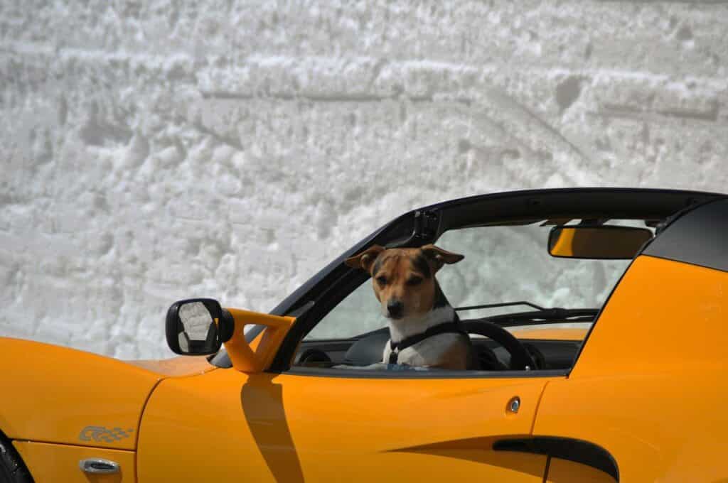 Dogecoin rejected at a supply zone, trend continued to favor the bears