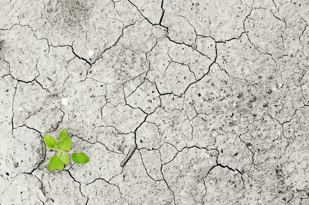 Will the lack of growth cause XRP investors to exit the market?