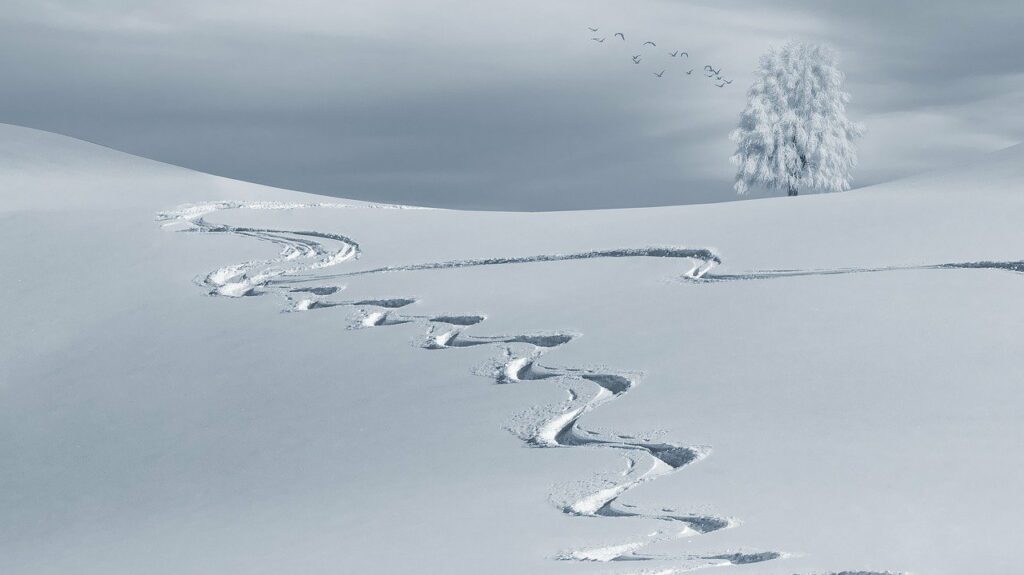 Is the loss of validators a matter of concern for Avalanche investors?