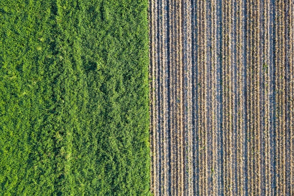 BTC's land displays two different patches for mining ops and the Lightning network