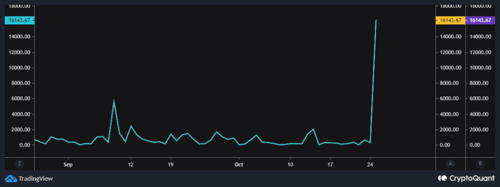 Bitcoin [BTC] Investors Should Take This Into Consideration Before ...