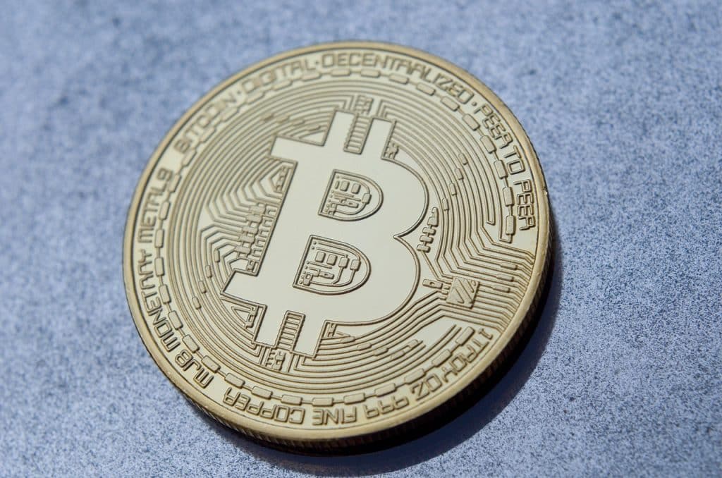 Bitcoin whales' number rallies, but their holdings take a tumble- Here's why