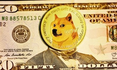 Dogecoin's social activity has some interesting stats for LTH