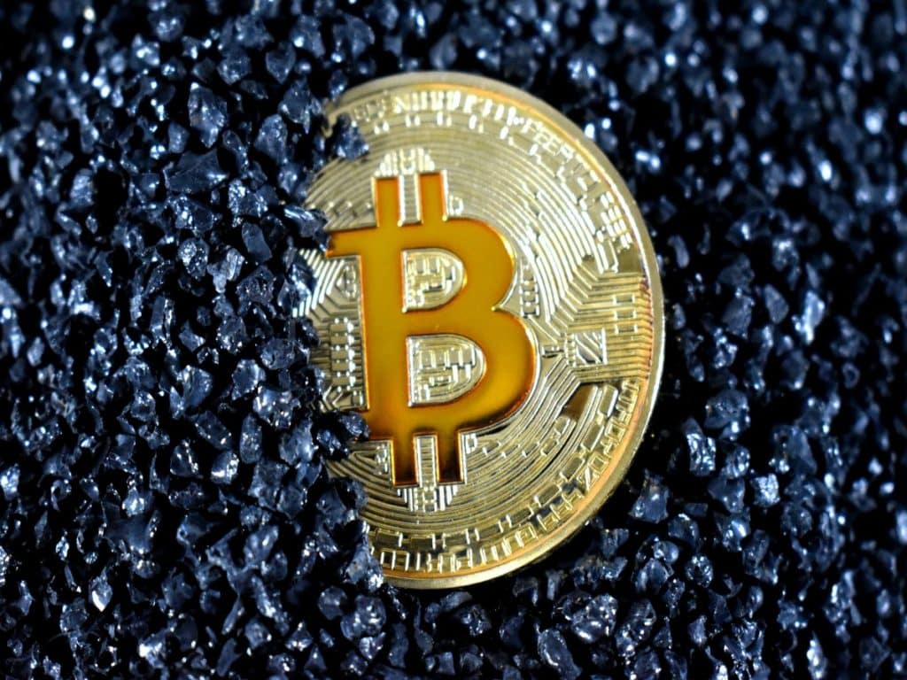 This Bitcoin [BTC] liquidation stat can help you in your next trade