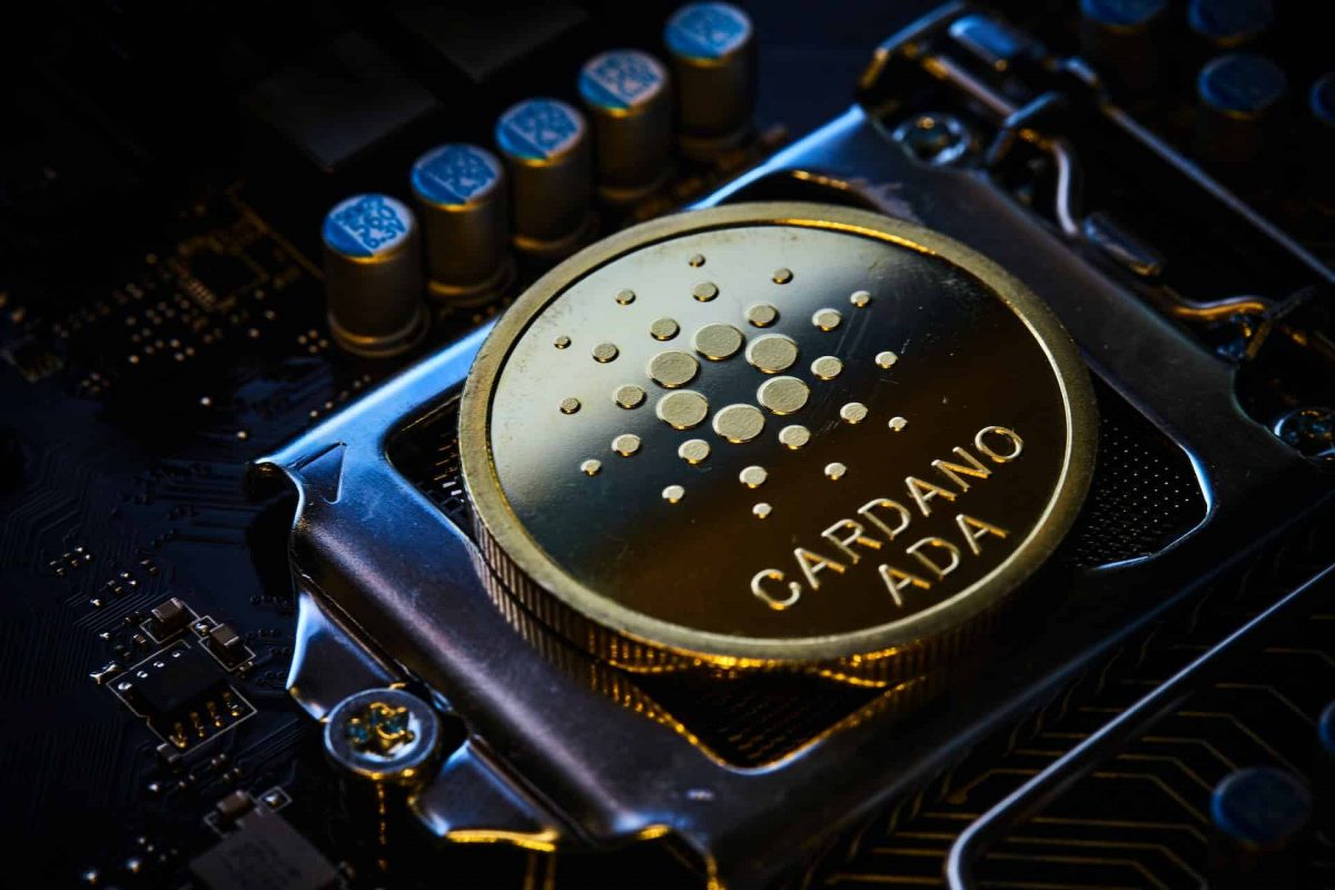 Algorand is now on Cardano? Decoding the true picture