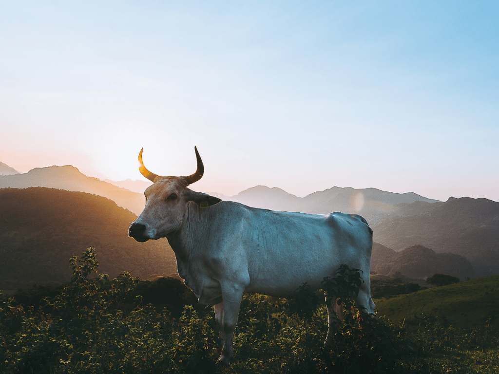 Bitcoin traders waiting on the next bull cycle should read this