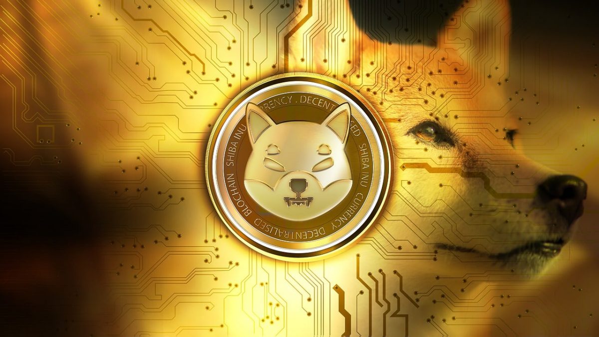 Shiba Inu Coin (SHIB) Price Prediction 2025-2030: A hike of 3000x by 2030?