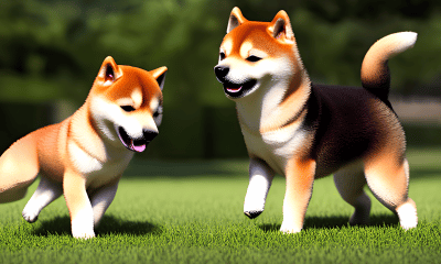 Why Twitter isn't always Dogecoin's [DOGE] friend on the price charts