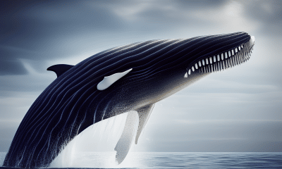 How the latest uptick in whale interest really helps Ethereum [ETH]