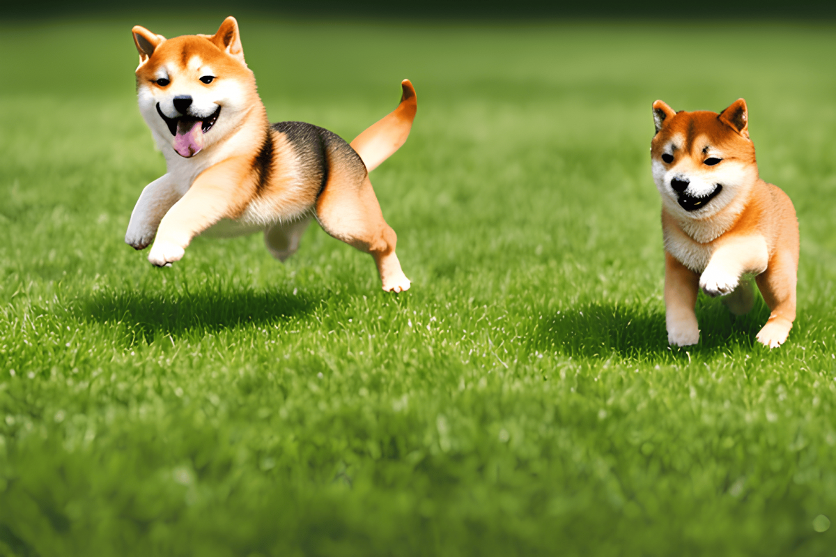 Dogecoin: Why DOGE’s current rally stands at the mercy of short-term holders