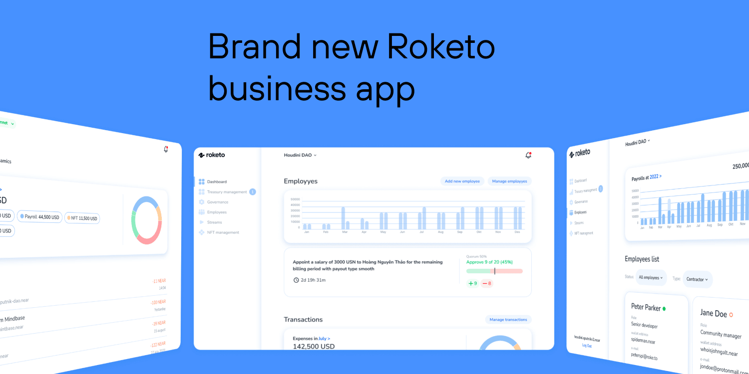 Roketo Business App offers transparency, flexiblity, and quick transactions to arrange a DAO