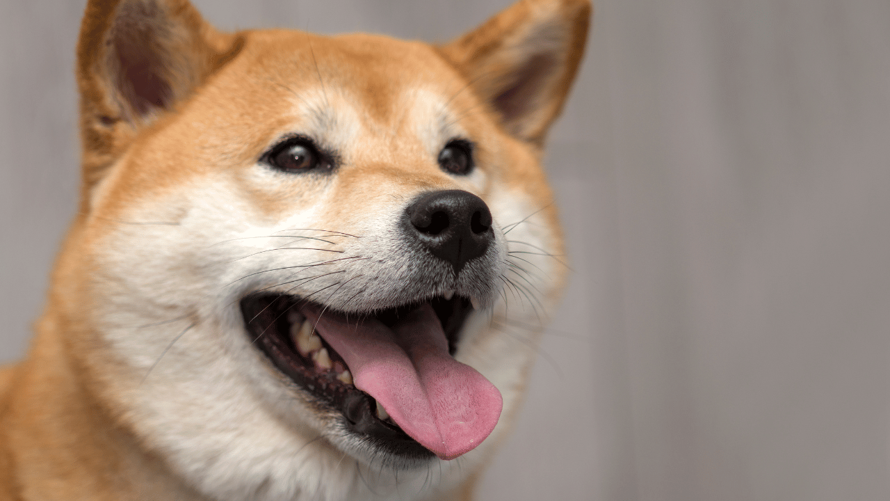 Dogecoin [DOGE] buyers can leverage this pattern's break to their benefit