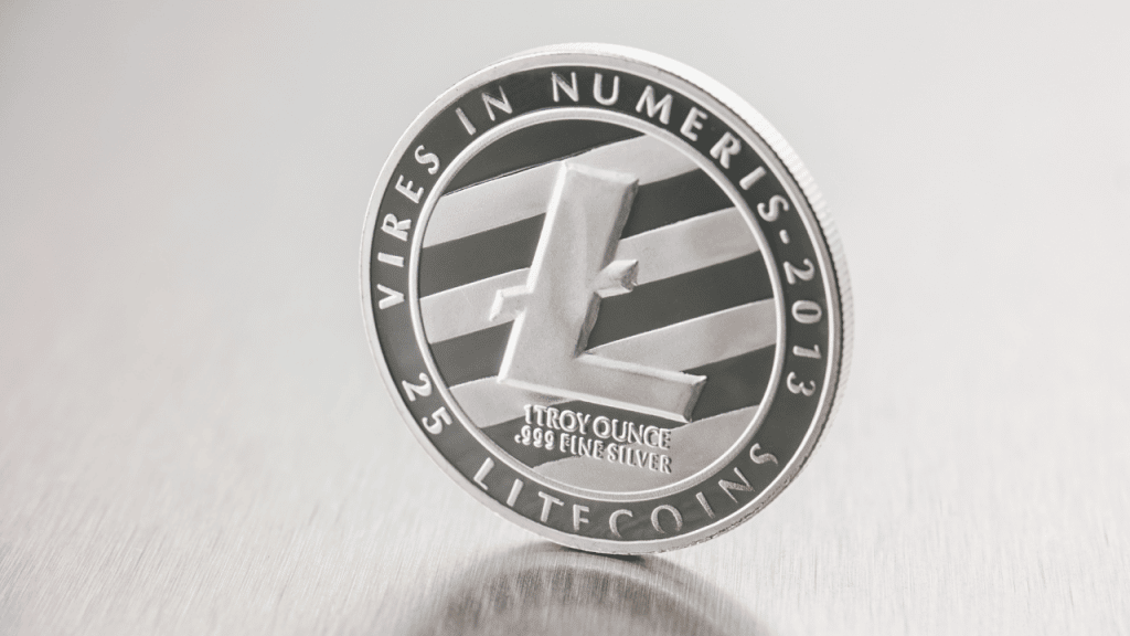 Litecoin [LTC] buyers can deploy this plan to sail through the current rally