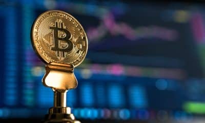 Bitcoin ‘Millionaire’ wallets are going down: Is it a thing to worry about?