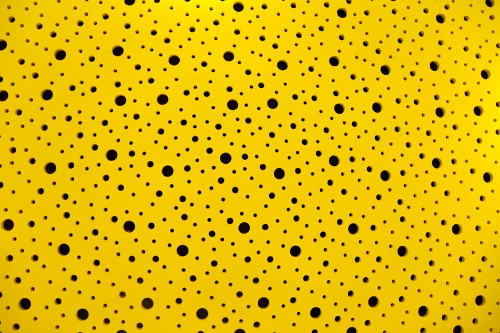 Shorting Polkadot may not be a good decision because these metrics reveal...