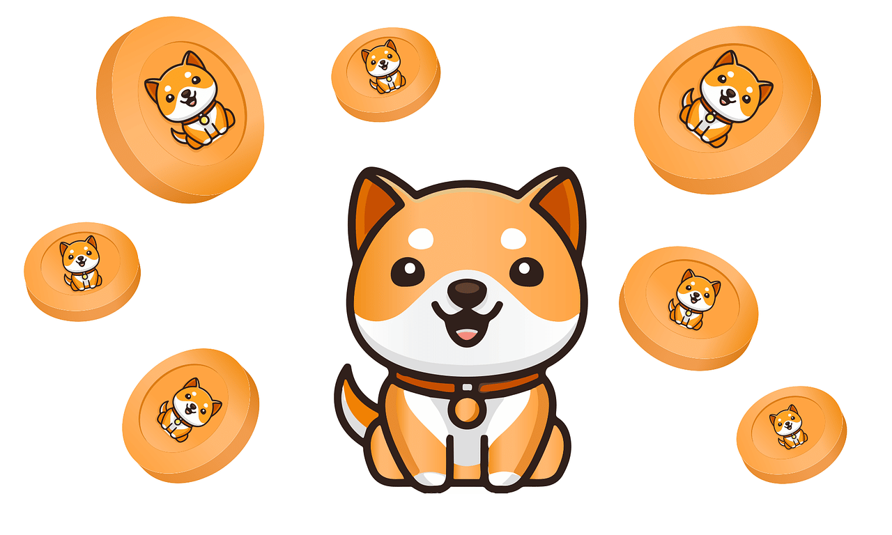 Is SHIB’s rally paving the way for this Shiba Inu update to take the market by storm