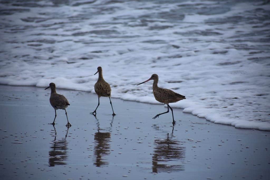 Aptos' social engagement spikes, but investors needn't be too happy
