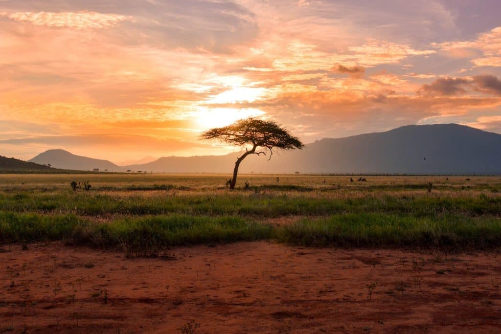 What does the BIS's report on CBDC development in Africa say?