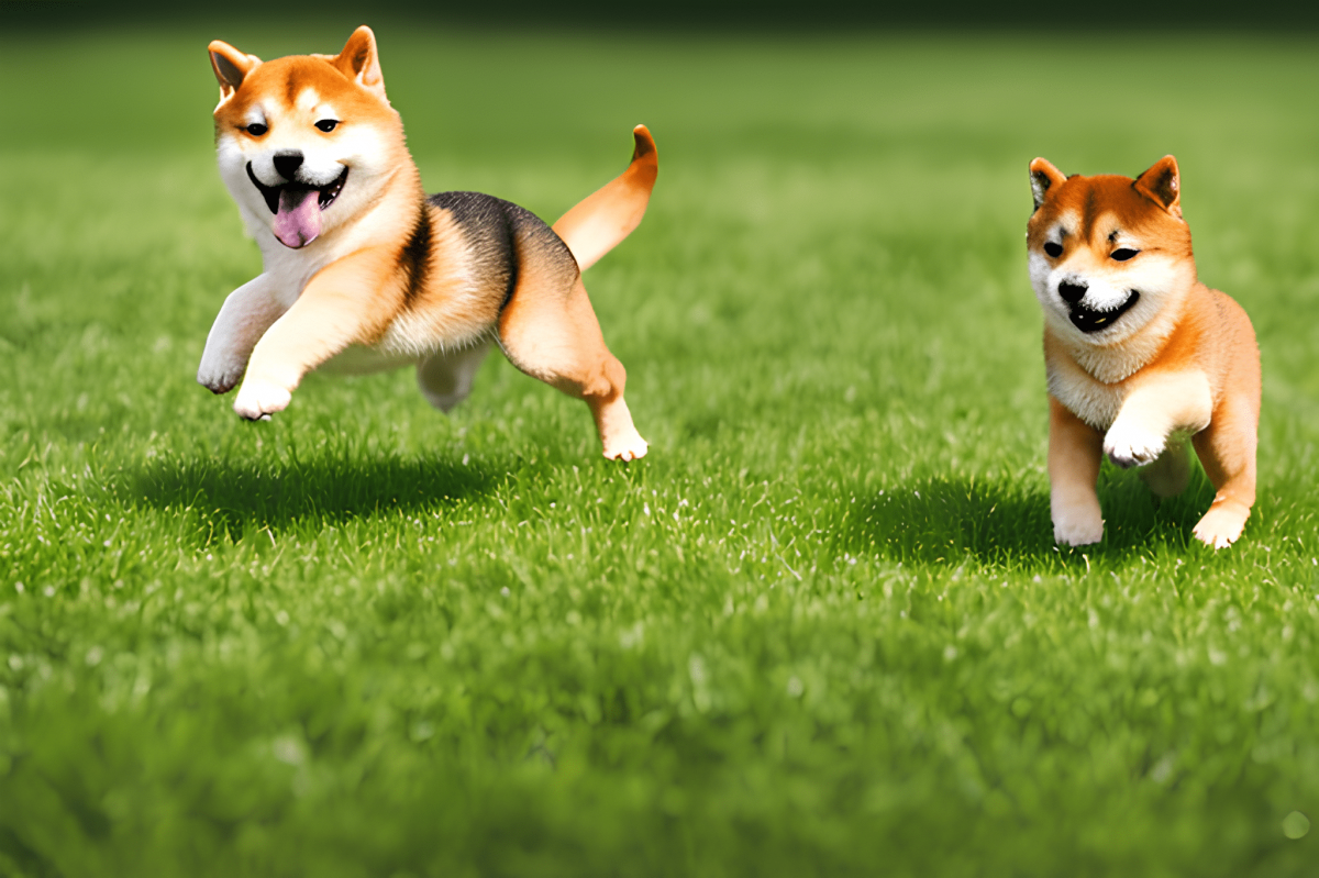 Shiba Inu's demand among ETH whales soars, will it help traders in 2023?