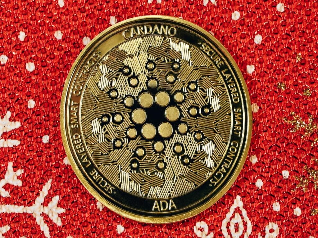 What Cardano's [ADA] long-term investors can expect in 2023?
