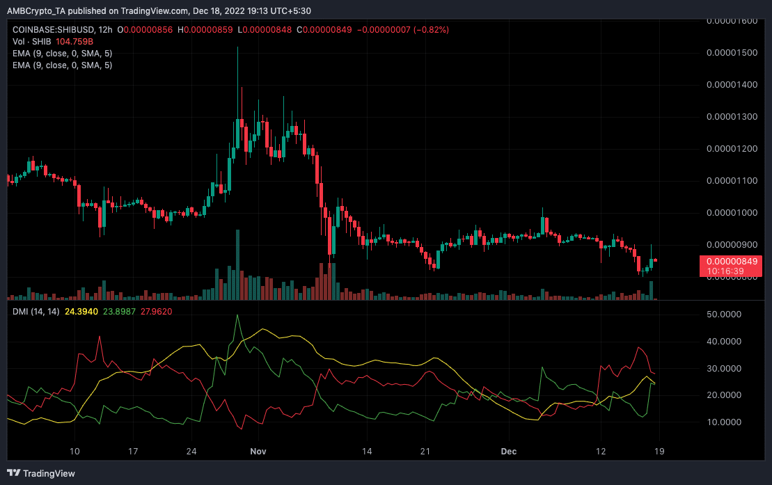 Shiba Inu price action