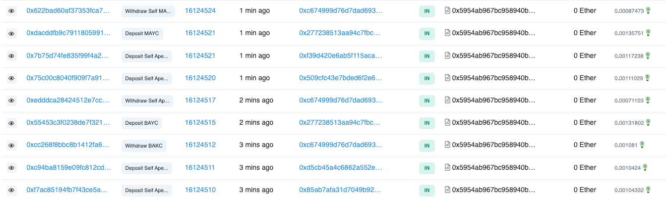 Participación de ApeCoin en Etherscan