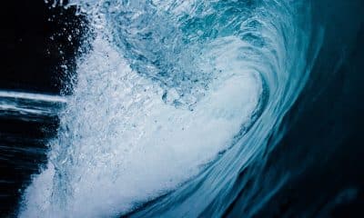 WAVES sees increased investor distribution as USDN troubles persist