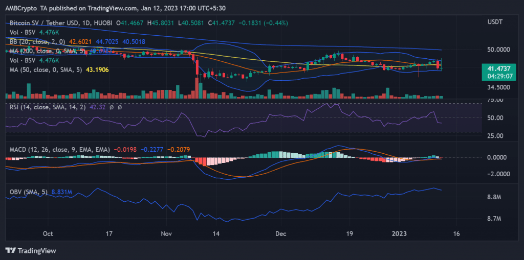Bitcoin Satoshi Vision suffers downtrend as Robinhood announces ...