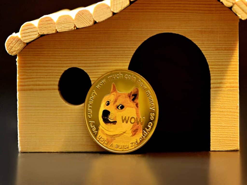 Will Dogecoin continue its bull rally? These metrics have the answer