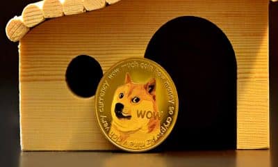 Will Dogecoin continue its bull rally? These metrics have the answer