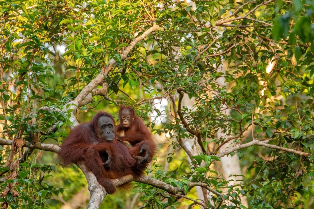 ApeCoin reaches 4-month highs but this decisive resistance was yet unbroken